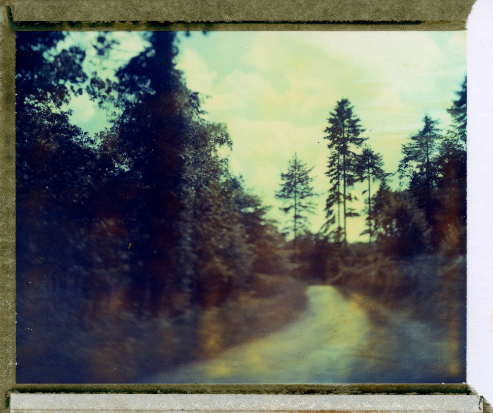Polaroid of Idliss woods, Cornwall 