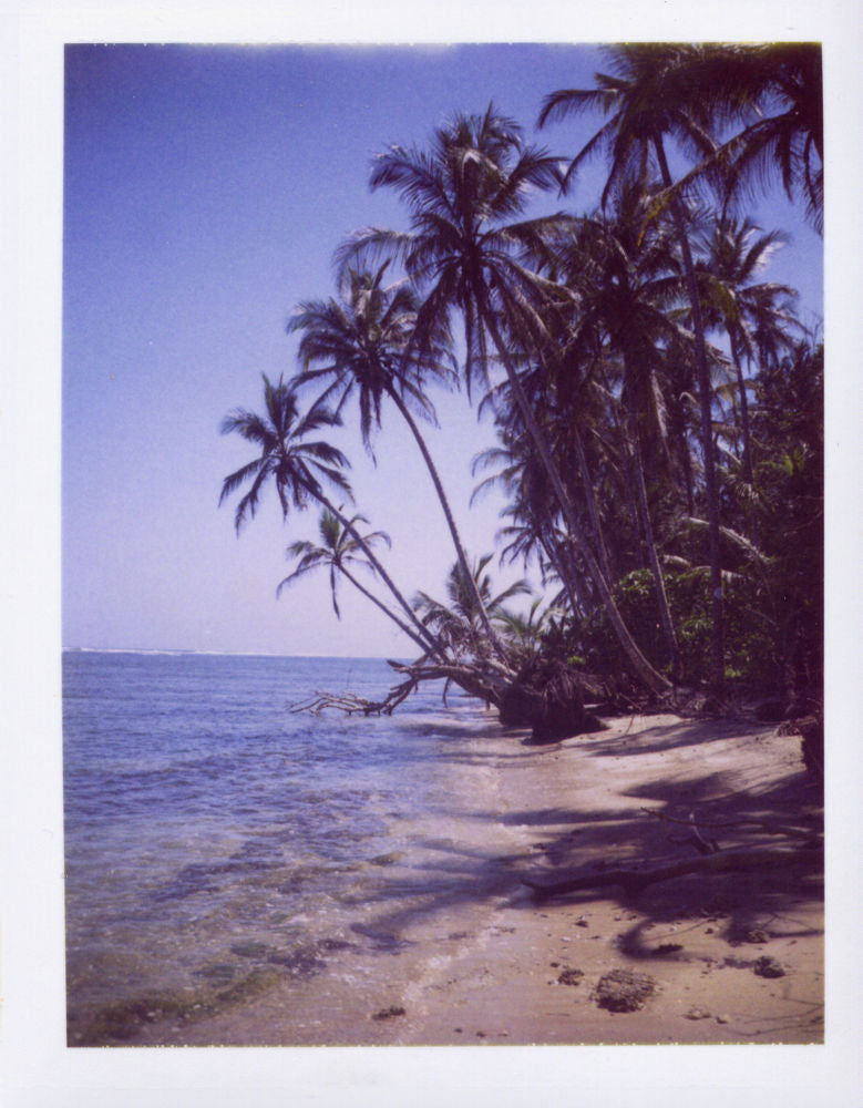 Polaroid of Cahuita National Park, Costa Rica