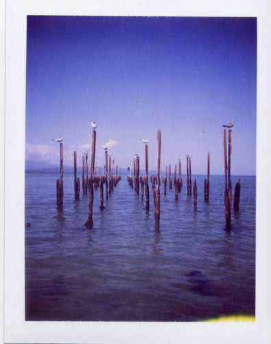 Polaroid image of an old pier, Cahuita