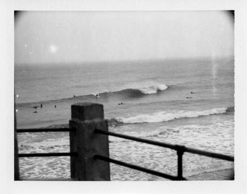 Polaroid of the lineup from the shelter at Aggie